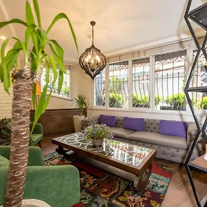 The Marions Special Category Istanbul